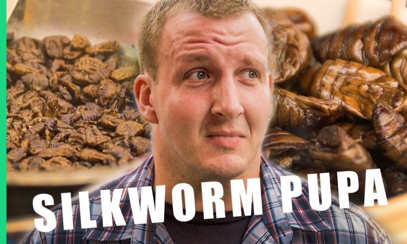 Eating bugs in Korea! - South Korea [Best Ever Food Review Show]