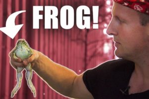 Eating frog in Vietnam!