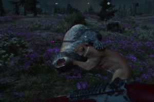 FAR CRY NEW DAWN - ALL ANIMAL FIGHTS - PART 2!!!!