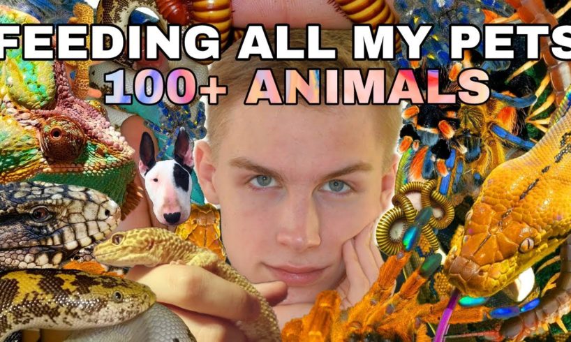 FEEDING ALL MY PETS IN ONE VIDEO (100+ ANIMALS) [UNBELIEVABLE]