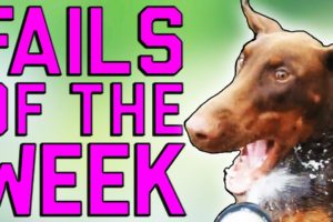 Fails of the Week 1 October 2016 || Fail Army