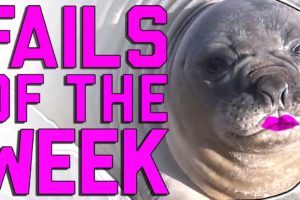 Fails of the Week: Yes We Did (January 2017) || FailArmy