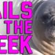 Fails of the Week: Yes We Did (January 2017) || FailArmy