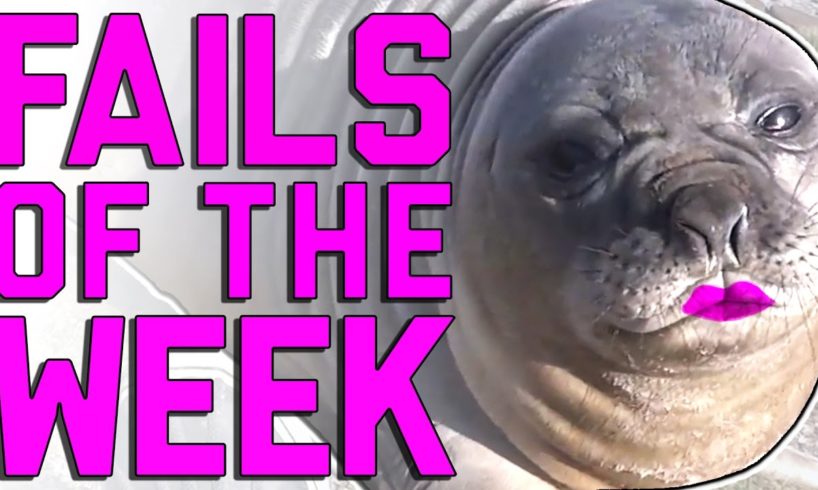 Fails of the Week: Yes We Did (January 2017) || FailArmy