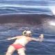 Family Rescues Whale Tangled In Net  | The Dodo