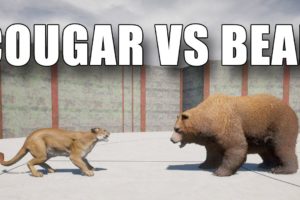 Far Cry 5 Arcade - ANIMAL FIGHT: COUGAR vs BEAR (Map Editor)