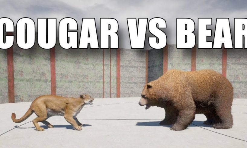 Far Cry 5 Arcade - ANIMAL FIGHT: COUGAR vs BEAR (Map Editor)