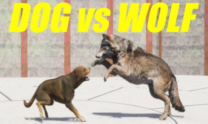 Far Cry 5 Arcade - ANIMAL FIGHT: DOG vs WOLF (Map Editor)