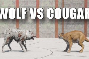 Far Cry 5 Arcade - ANIMAL FIGHT: WOLF vs COUGAR (Map Editor)