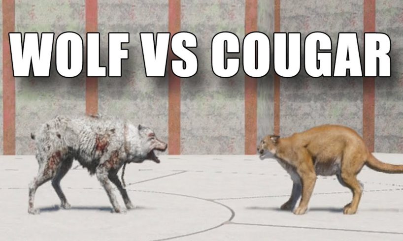 Far Cry 5 Arcade - ANIMAL FIGHT: WOLF vs COUGAR (Map Editor)