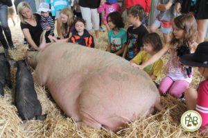 Farm Animal Rescue -  A Very Piggy Christmas - 2014