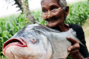 Fish Fry Recipe || Simple and Delicious Fish Fry By My Granny's