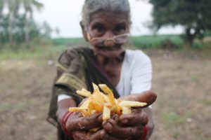 French Fries  || Village Style Crispy French Fries Recipe By My Granny's