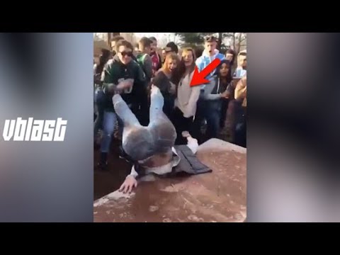 Funniest Fails of the week #32 || Fail Compilation 2018
