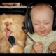 Funny Babies and Animals -   Top Funny Dogs, Cats and Baby Playing Together