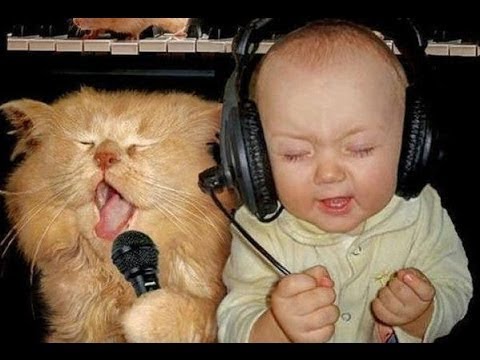 Funny Babies and Animals -   Top Funny Dogs, Cats and Baby Playing Together