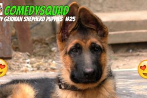 Funny German Shepherd Puppies Video #25-Funniest & Cutest Puppies Compilation