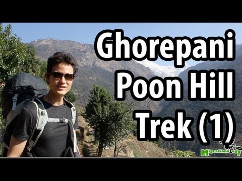 Ghorepani Poon Hill Trek - Beauty of Nepal (Part 1)