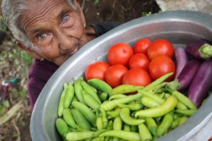 Green Chillies chutney | Traditional Chutney By Granny Mastanamma