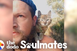 Guy Biking Across the World Picks Up a Stray Kitty | The Dodo Soulmates