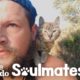 Guy Biking Across the World Picks Up a Stray Kitty | The Dodo Soulmates