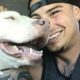 Guy Falls in Love With Pit Bull Dog So He Adopts Three More | The Dodo Pittie Nation