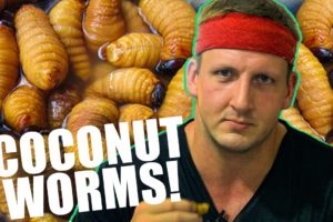 HOW TO EAT COCONUT WORMS! (Inspirational)