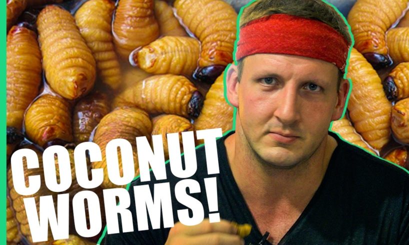 HOW TO EAT COCONUT WORMS! (Inspirational)