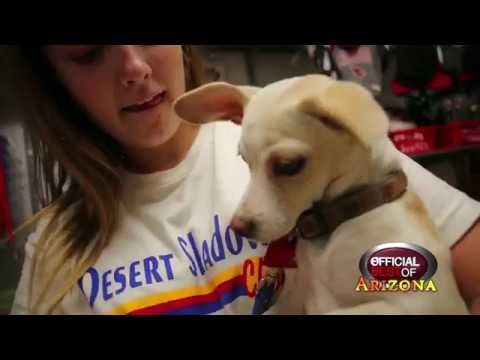 Home Fur Good - Best Animal Rescue - Arizona 2018
