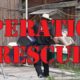 Houston SPCA Rescues Over 200 Dogs | Houston SPCA