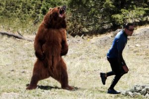 How To Fight A Bear Real Animal Fight Bear Vs Human | The terrible attacks of bears on humans