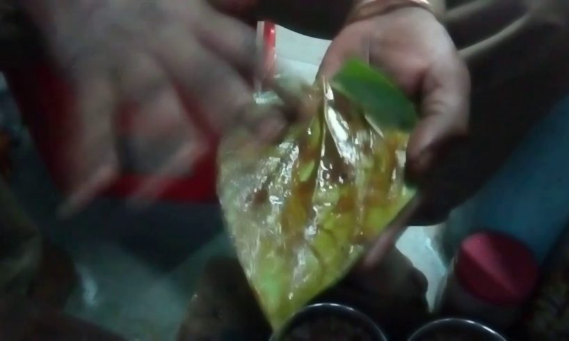 How to make Misti Pan in Kolkata Street - Street food love you
