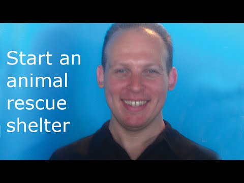 How to plan start and open an animal rescue shelter