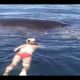 Humpback Whale Shows AMAZING Appreciation After Being Freed From Nets