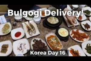 Incredible Bulgogi Delivery and Chili Paste Village (Day 16)