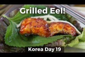 Insanely Delicious Grilled Eel in South Korea! (Day 19)