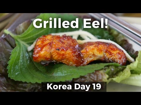 Insanely Delicious Grilled Eel in South Korea! (Day 19)
