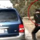 Instant Jastice for Idiot Drivers In Police Chase on Highway and City Streets #45