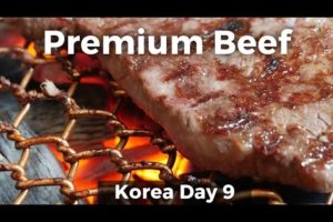 Korean Food - Premium Korean JANGSU BEEF! (Day 9)