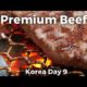 Korean Food - Premium Korean JANGSU BEEF! (Day 9)