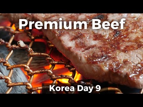 Korean Food - Premium Korean JANGSU BEEF! (Day 9)