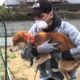 Last Chance for Animals - Japan Rescue Video