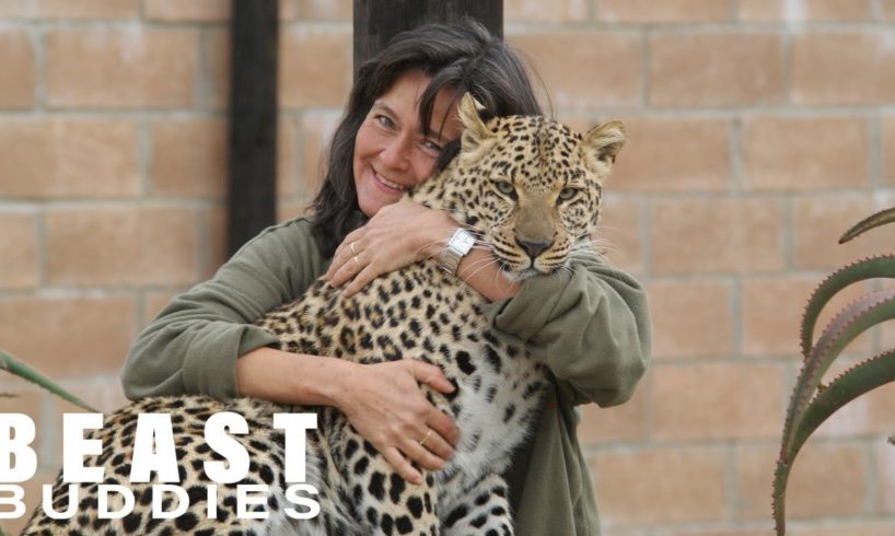 Leopard Lady Living With Wild Cats | BEAST BUDDIES