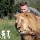 Lion King: 23-Year-Old Is Best Friends With Big Cats | BEAST BUDDIES