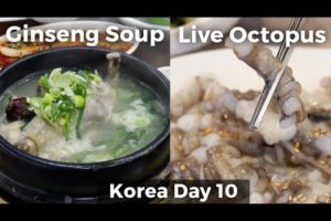 Live Octopus & Chicken Ginseng Soup (Day 10)