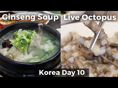 Live Octopus & Chicken Ginseng Soup (Day 10)