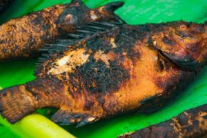 Mekong Charred Freshwater Fish! | The Ultimate MEKONG DELTA Tour (Day 2)