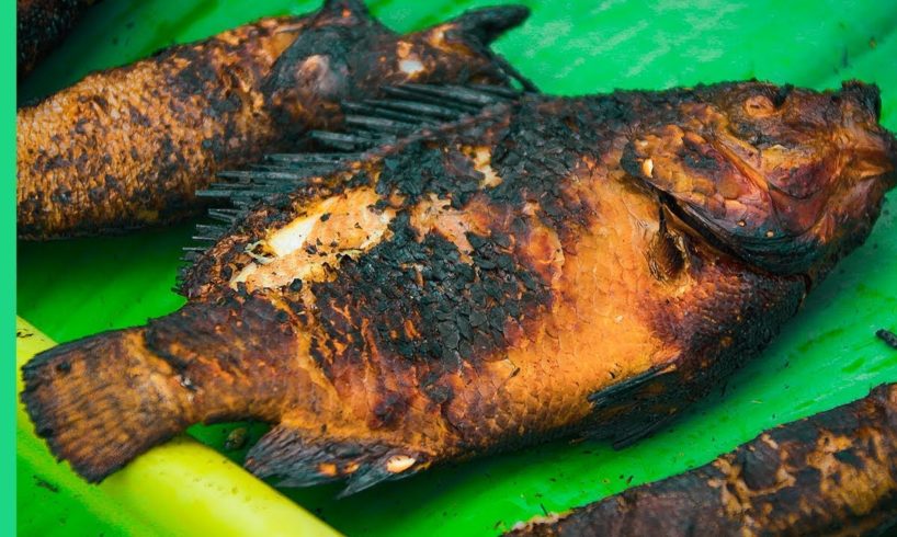 Mekong Charred Freshwater Fish! | The Ultimate MEKONG DELTA Tour (Day 2)