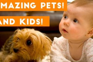 Most Amazing 1 Hour of Cute Kids And Pets 2018 | Funny Pet Videos!