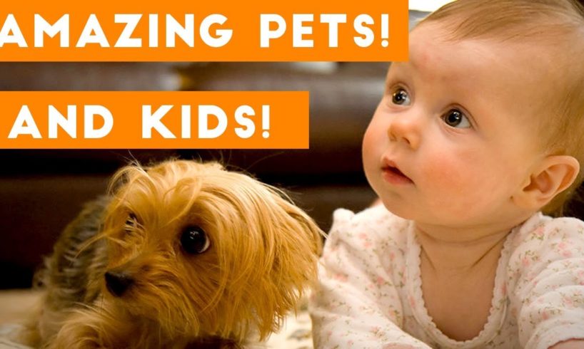 Most Amazing 1 Hour of Cute Kids And Pets 2018 | Funny Pet Videos!